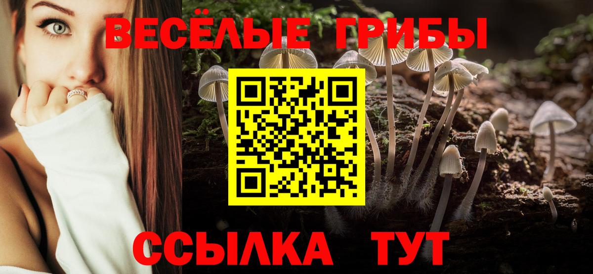 Белая Калитва  Псилоцибиновые грибы Cubensis  Вход с VPN 